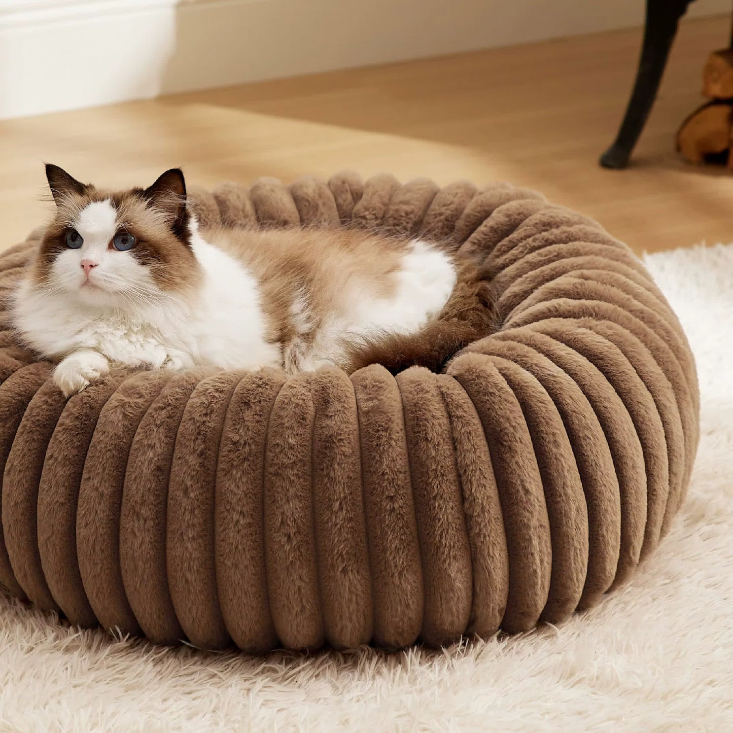 The Cuddleloop Bed — Cocoa