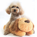 Heartbeat Pup