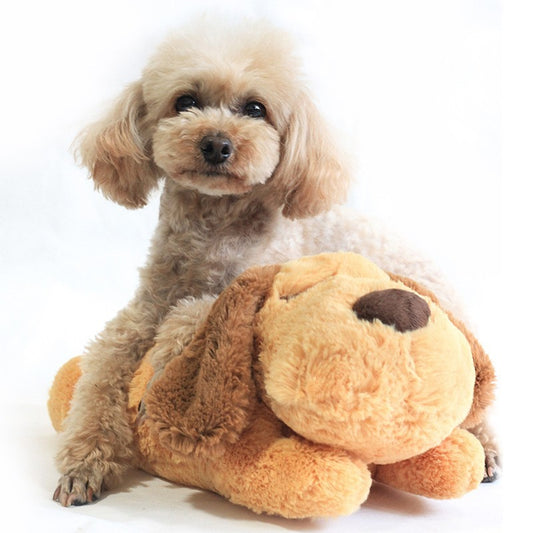 Heartbeat Pup